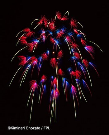 floral shell of shells_cherry